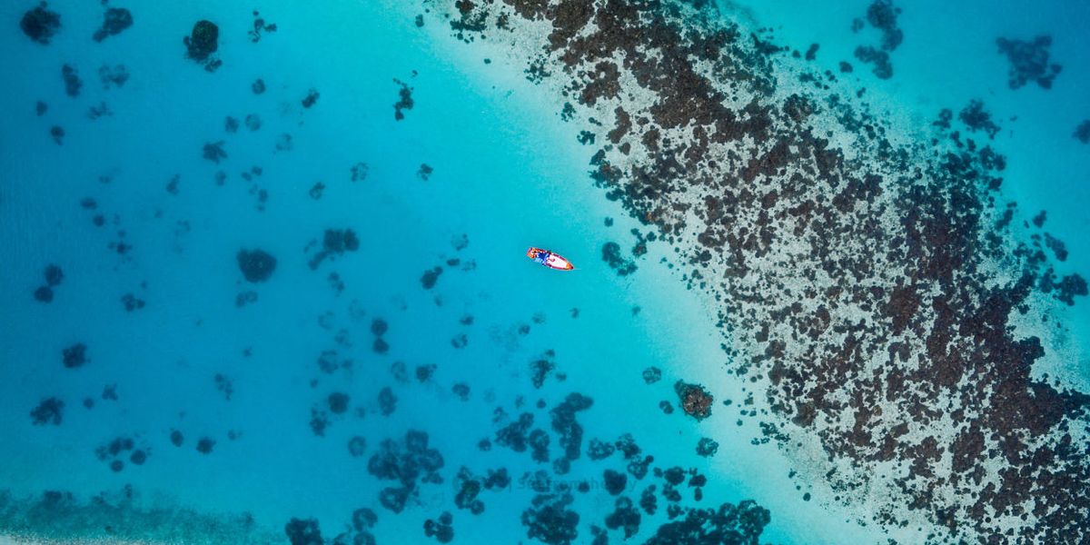 Tom Dillon: How fishing subsidies hurt the ocean—and us, too