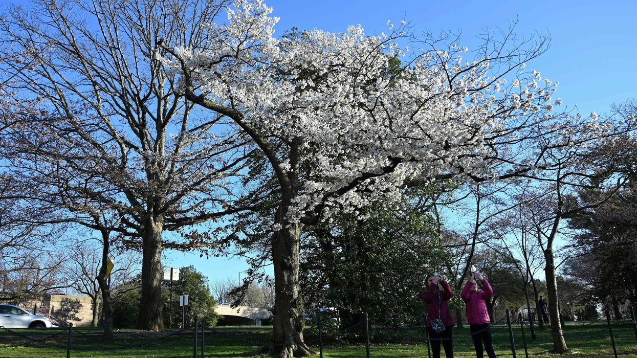 Spending just 5 minutes in nature can greatly improve your mood, study says