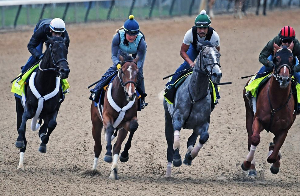 The Kentucky Derby Is The Mistreatment Of Beautiful Animals