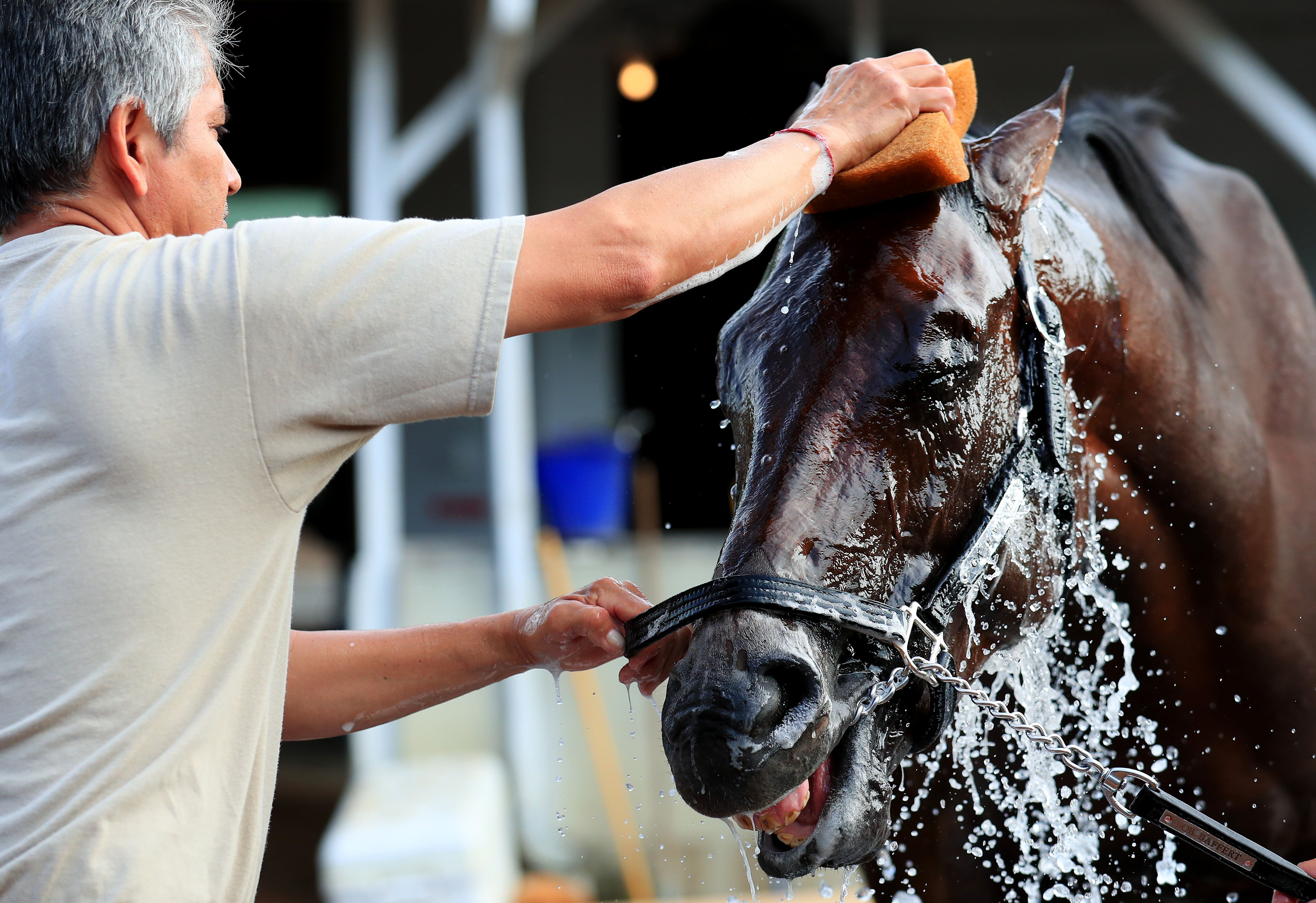 Free plays for the Kentucky Oaks and Kentucky Derby