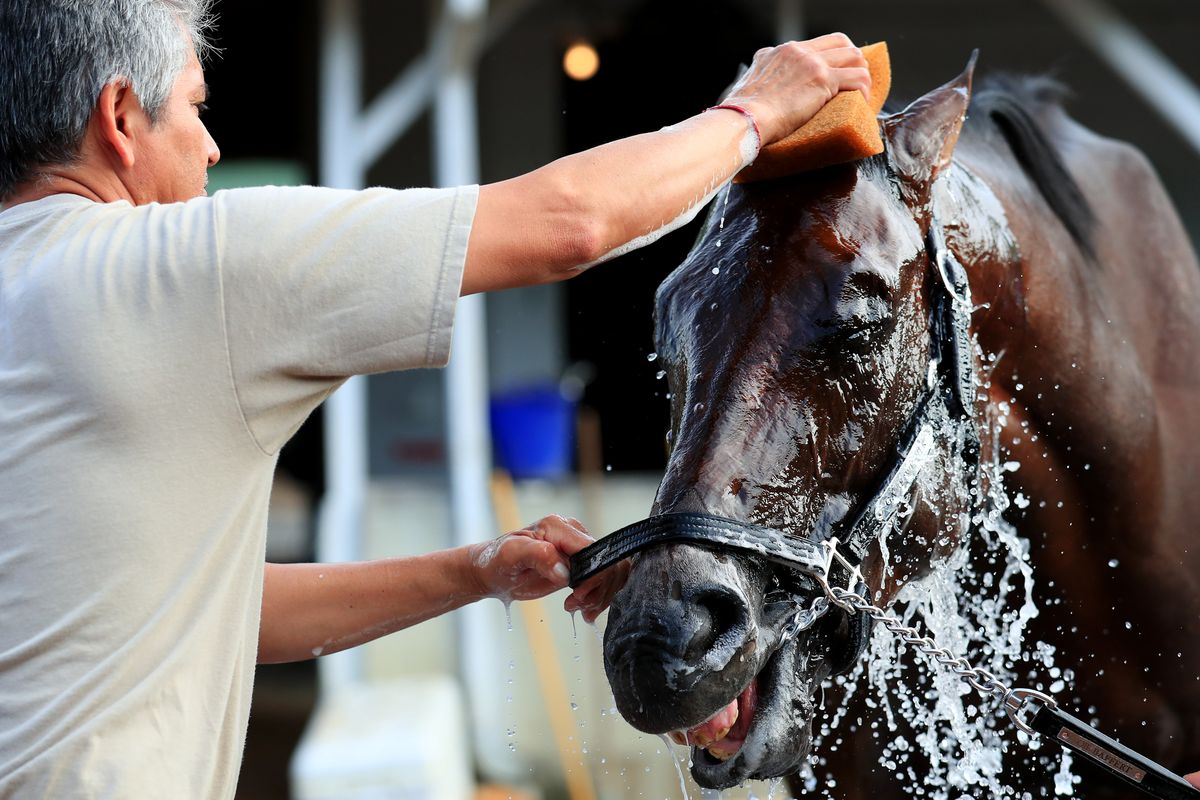 Free plays for the Kentucky Oaks and Kentucky Derby