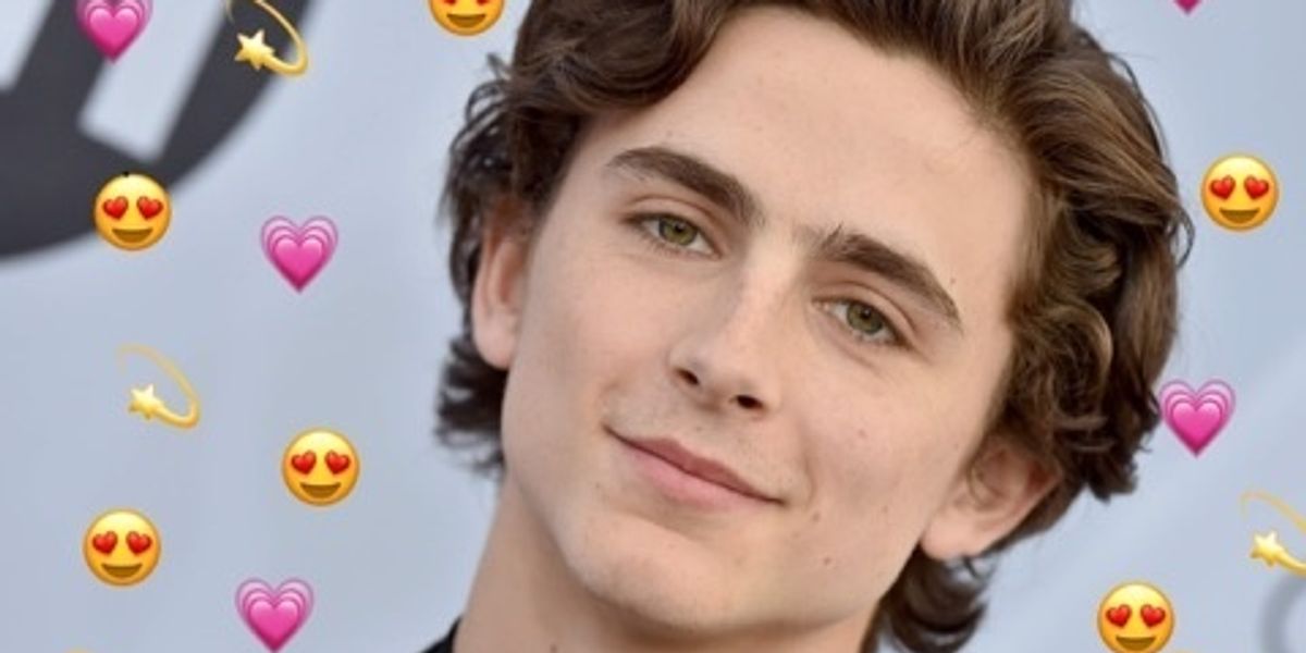 Stan Stories: Meet Twitter's Timothée Chalamet Expert