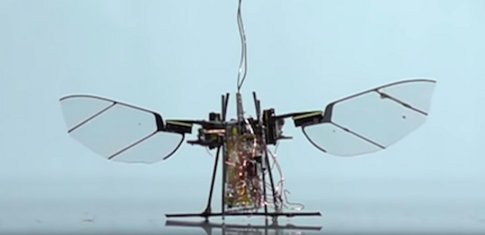 \u200bThis robotic fly, RoboFly, is small and inexpensive to manufacture