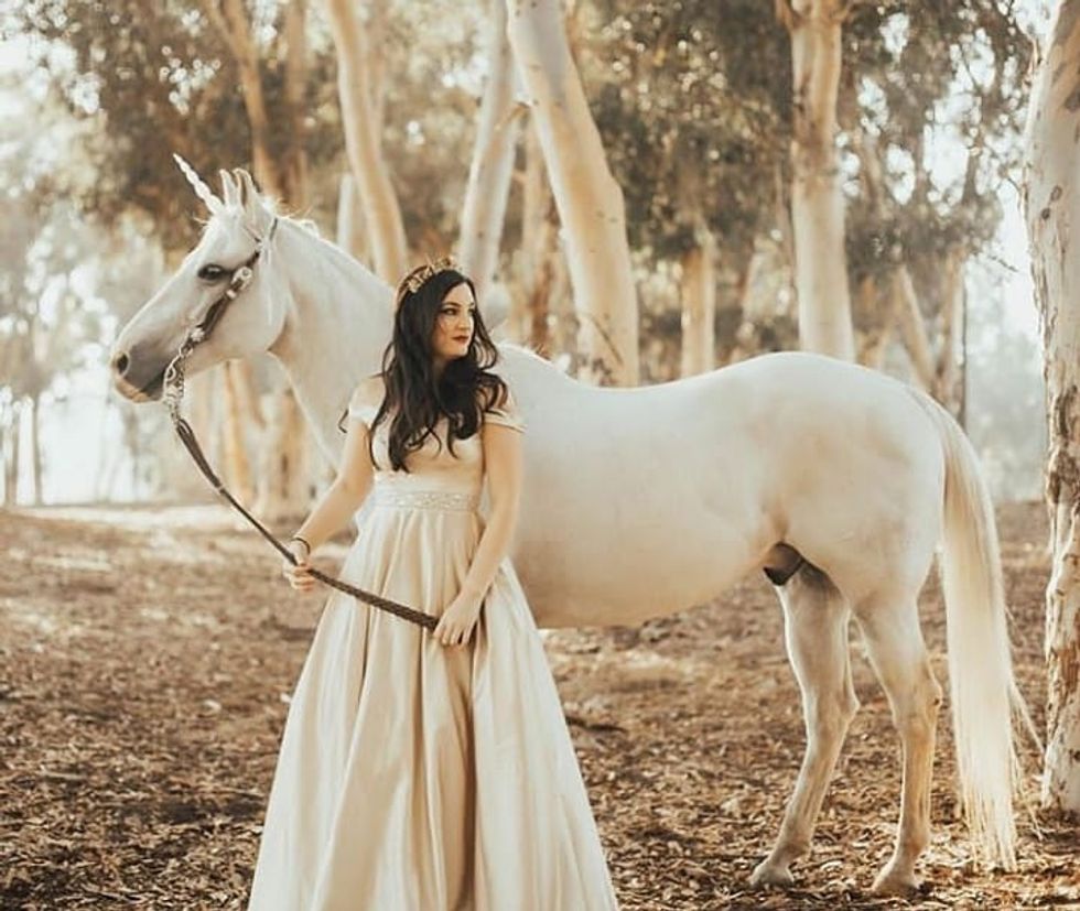 A wild unicorn tamer essay 08 image