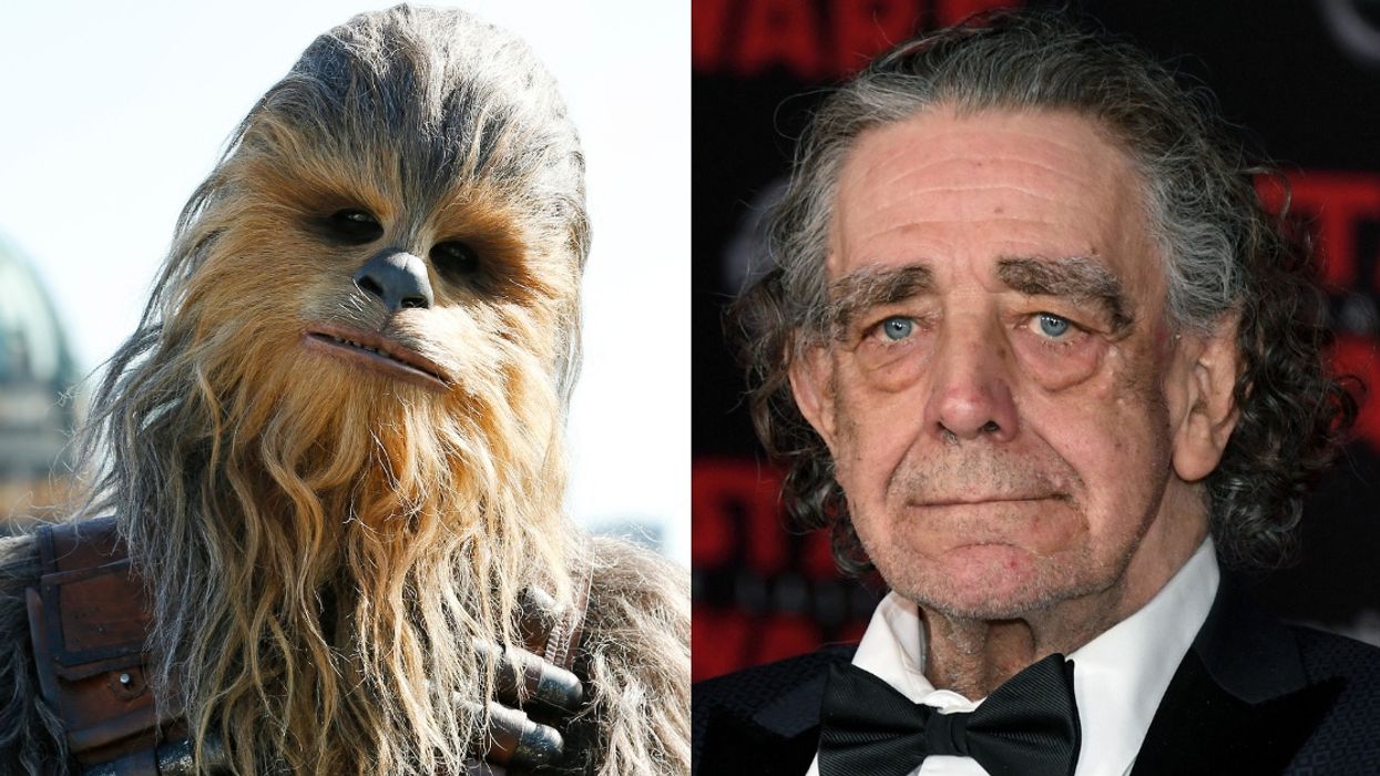 Mark Hamill, Harrison Ford, And Fans Post Tributes To Peter Mayhew After His Passing