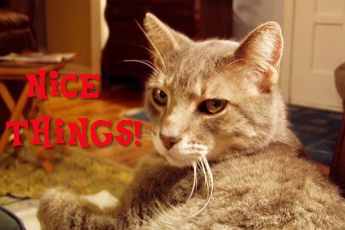 We've Got Some AI-Generated Nice Things For You Today. Isn't That Nice?