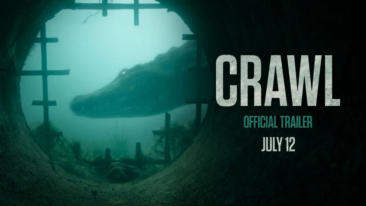 New horror film set in Florida depicts giant alligators, Category 5 hurricane