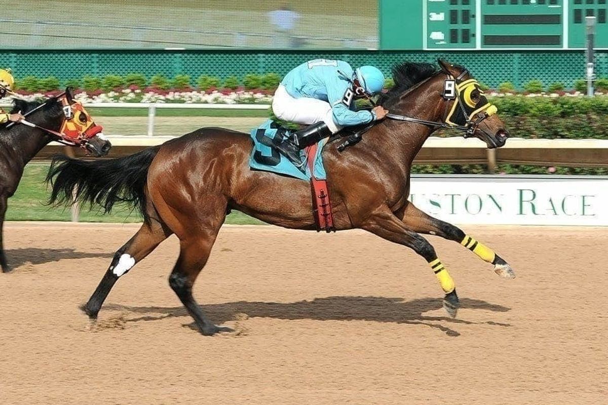 Sam Houston Race Park selections for Saturday, May 11