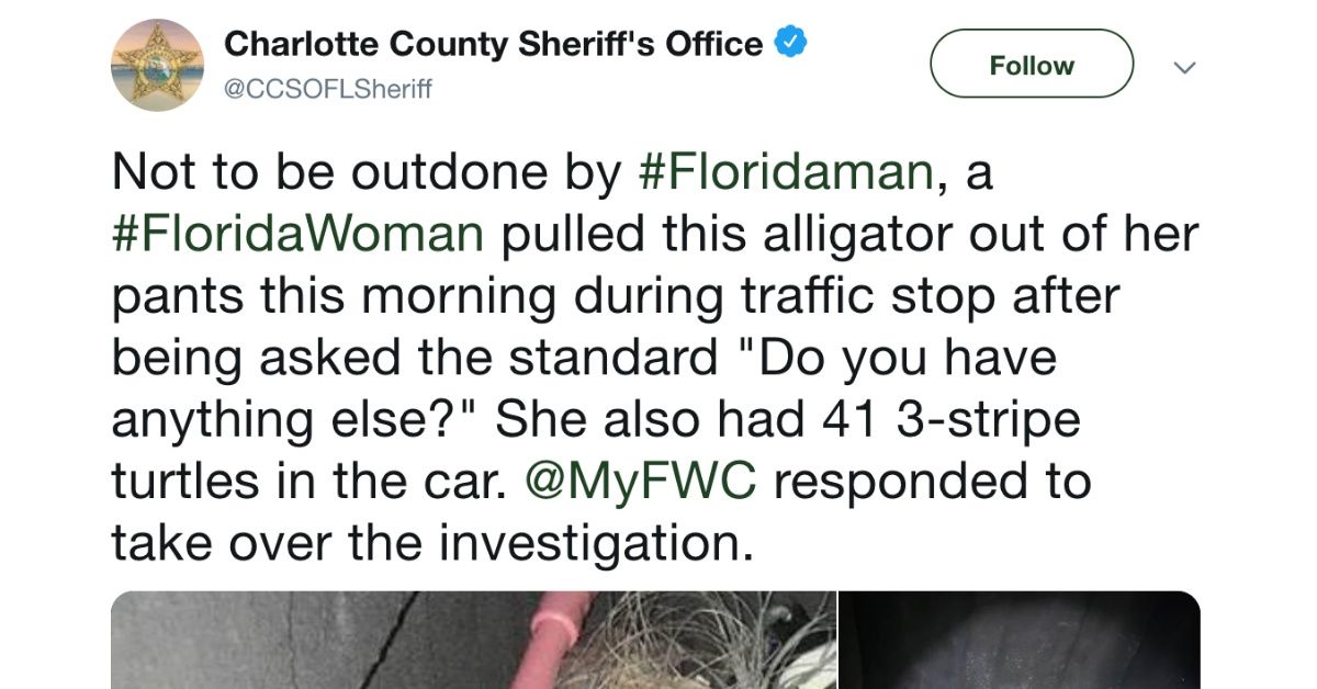 Florida Woman Casually Pulls Small Alligator Out Of Her Pants During Traffic Stop Because, Well, Florida