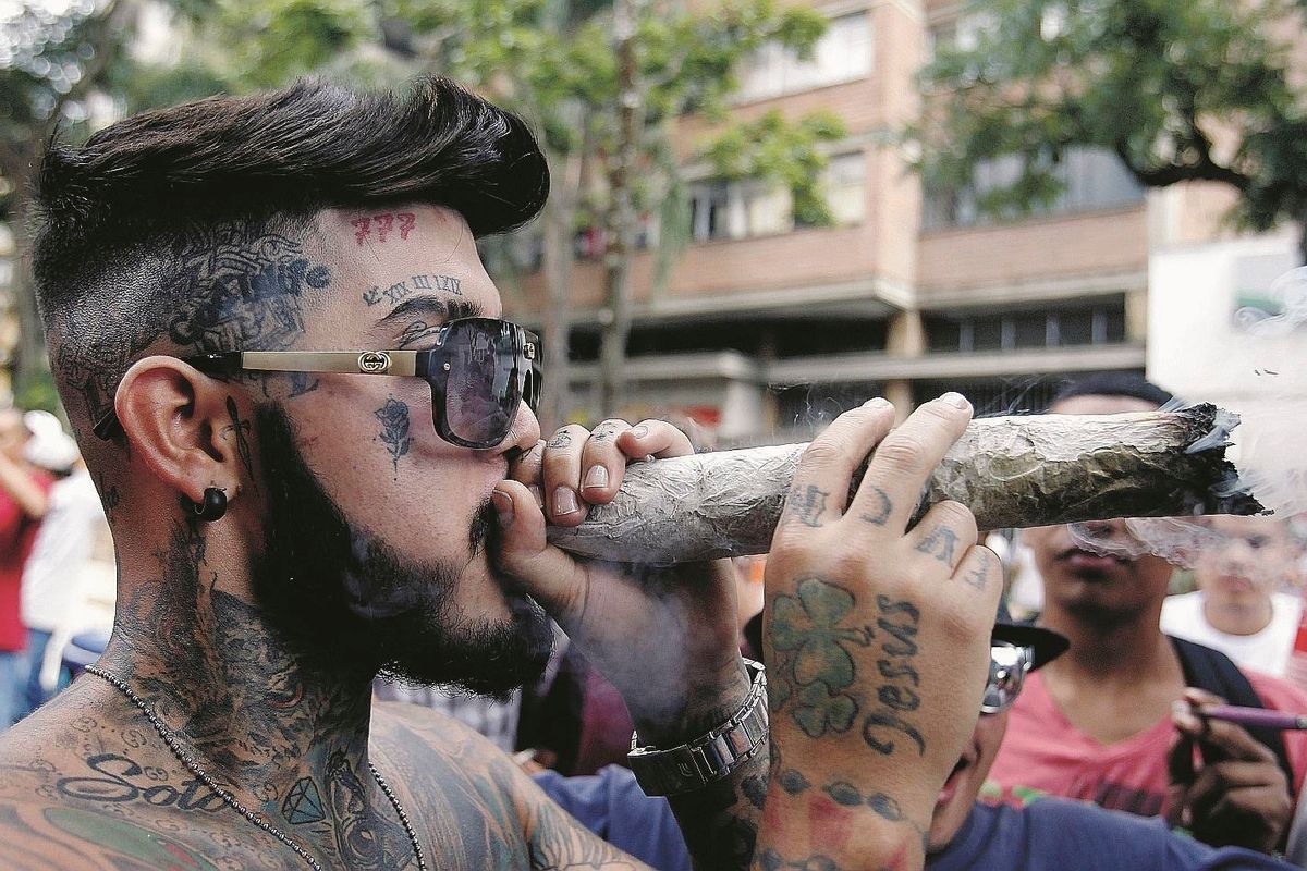 La Lega va alla guerra delle canne e apre un nuovo fronte con i grillini