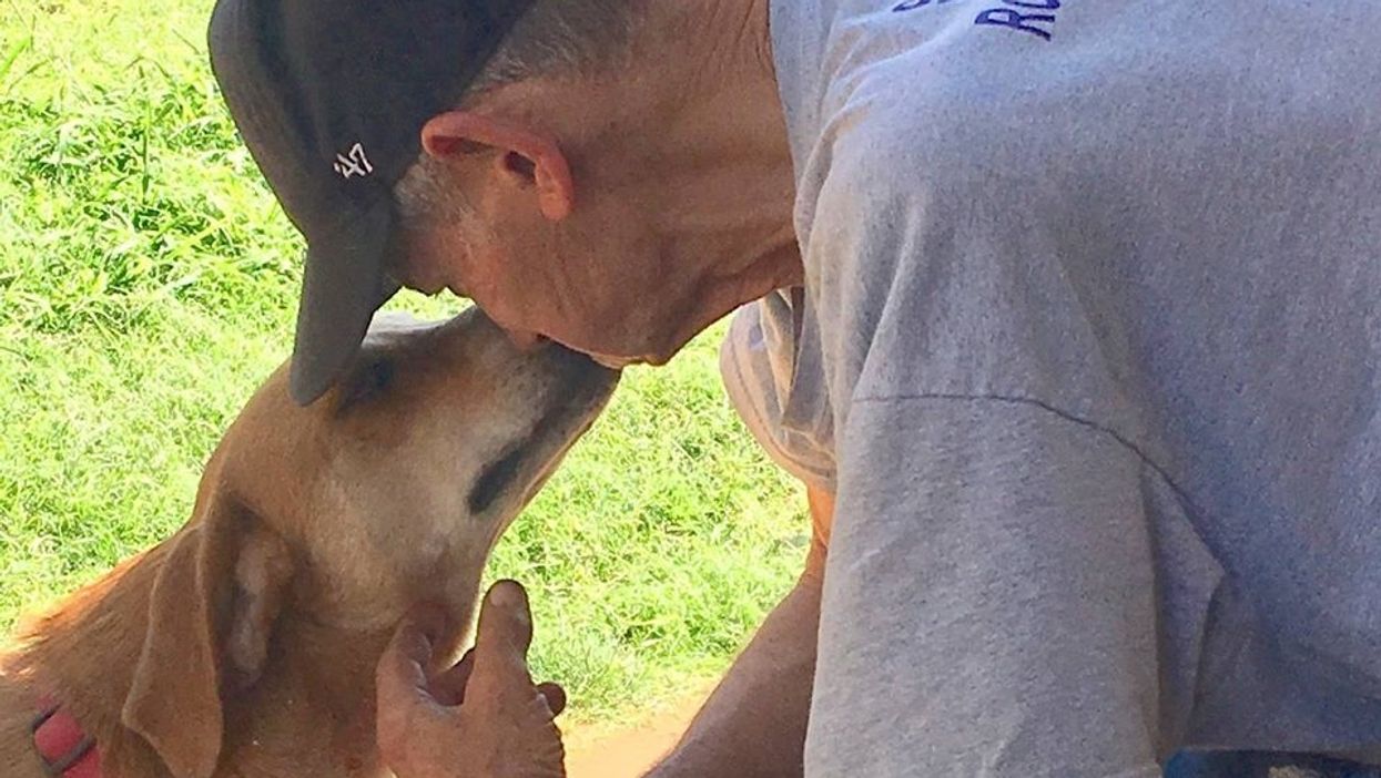 Neighbors helping Texas man with one week to live find new homes for his dogs