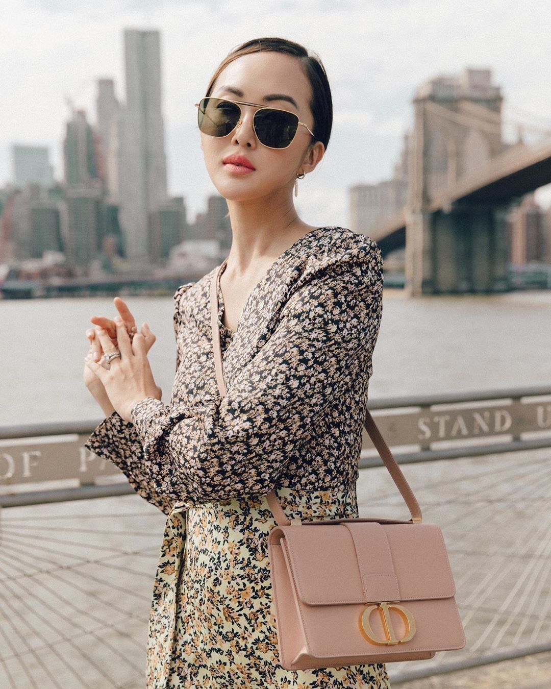 dior 30 montaigne bag celebrity