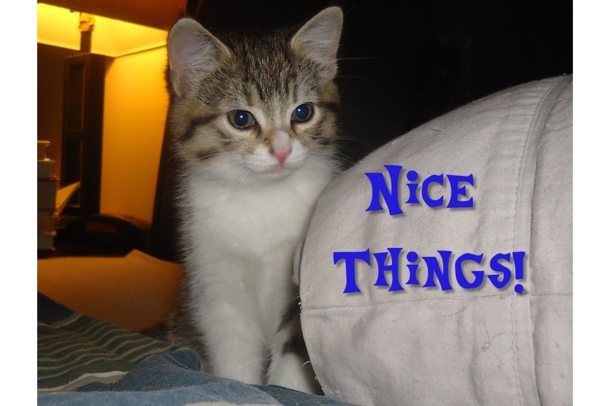 All These Nice Things Rock Like A Mother