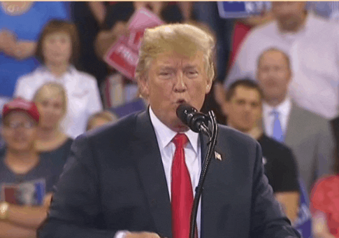 Yes, Children, Trump's Legal Strategy Really IS That Stupid