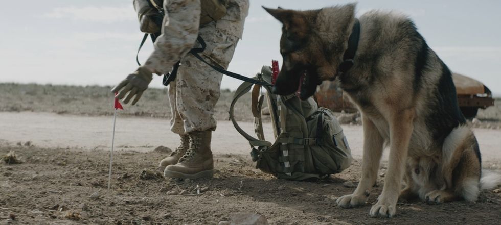 Rex saved his partner's life. And then, years later, she saved him.