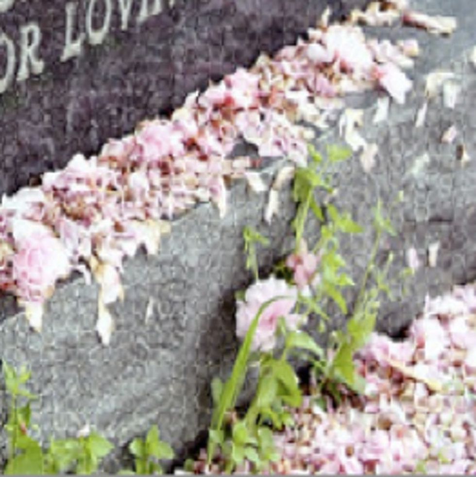 HAUNTING PHOTO: Gay Vietnam Vet's Last Words