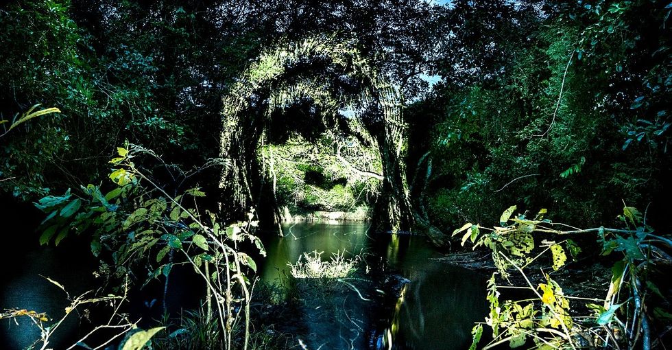 This artist is showcasing a new form of graffiti to shed light on deforestation.