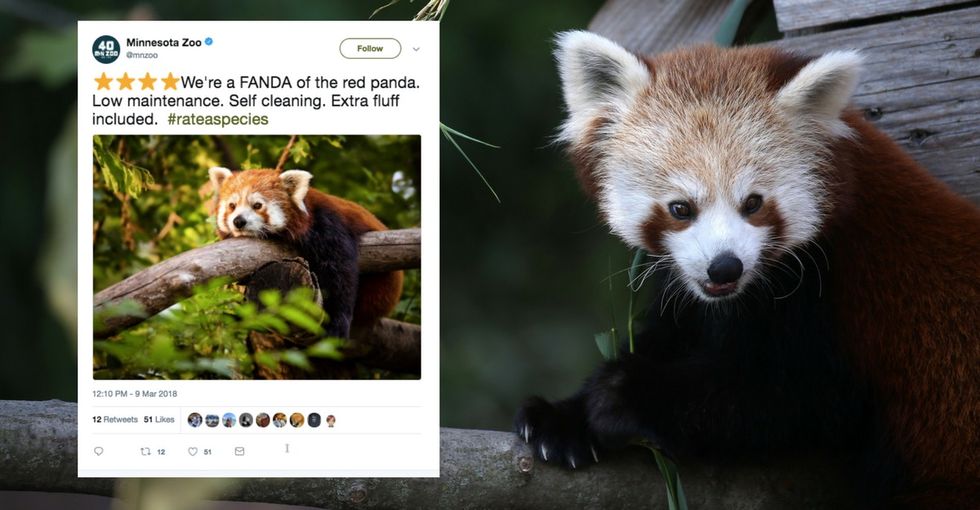 This tongue-in-cheek hashtag is spreading knowledge and delight on social media.
