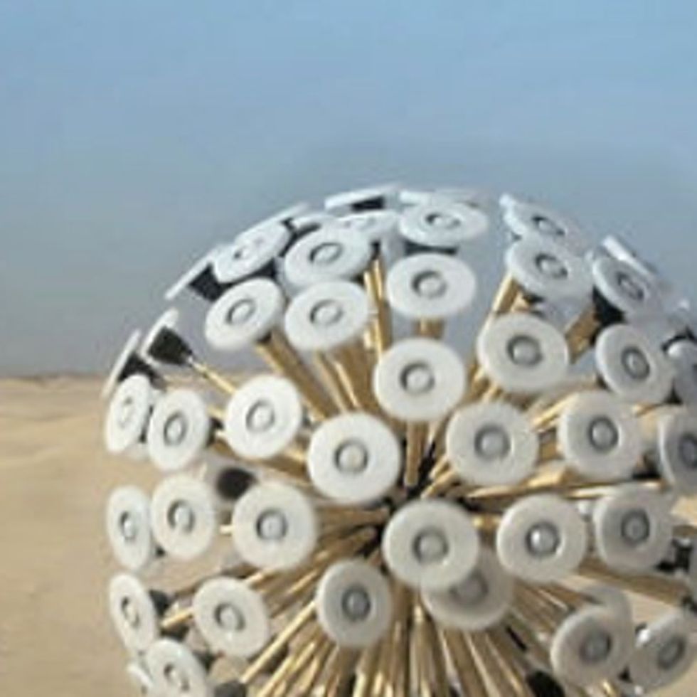 The Incredible Story Of A Giant Dandelion That Could Save Thousands Of Lives