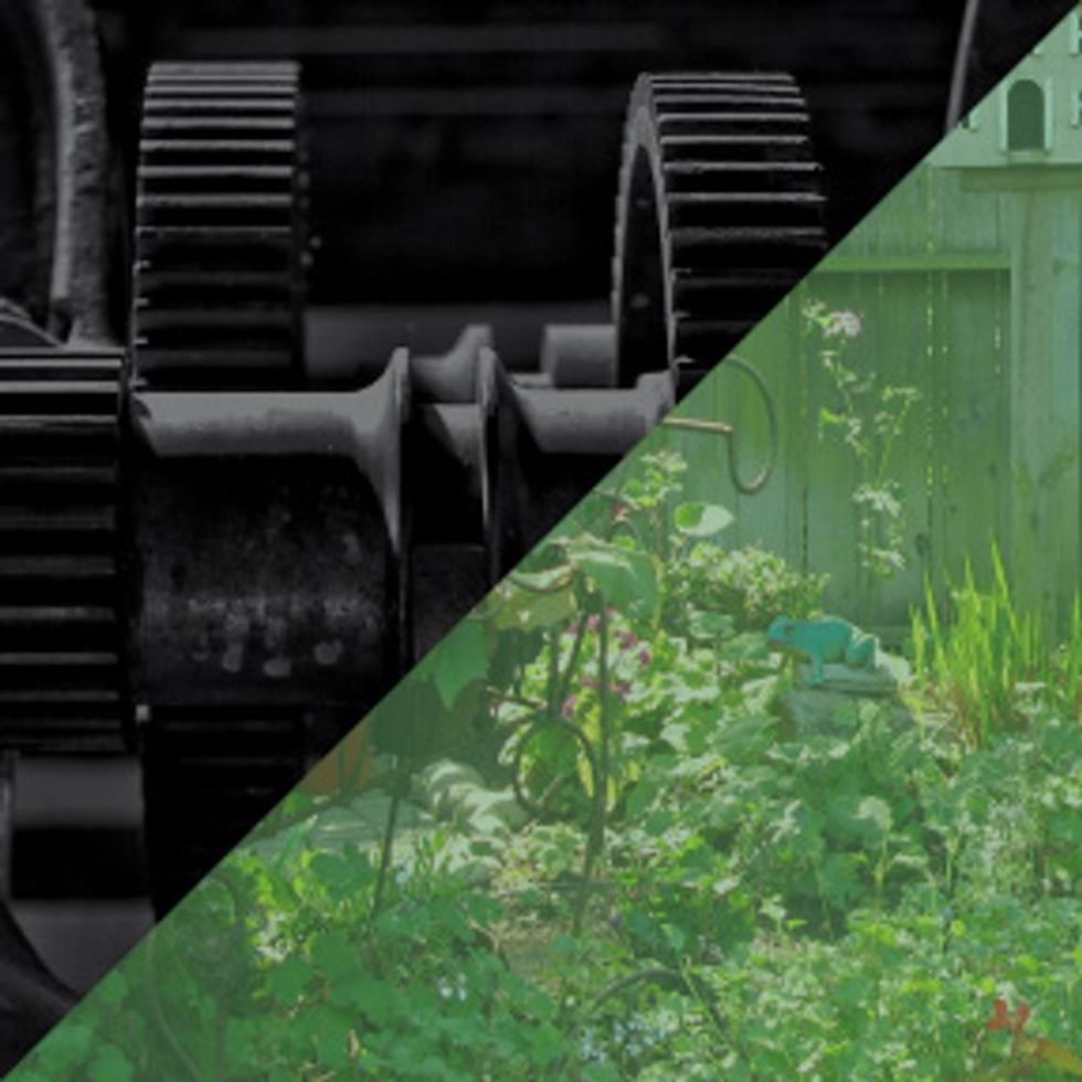 Why The Economy Is More Like A Garden Than A Machine
