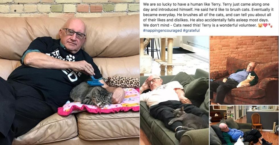 A retired Spanish teacher went viral after falling asleep brushing cats.