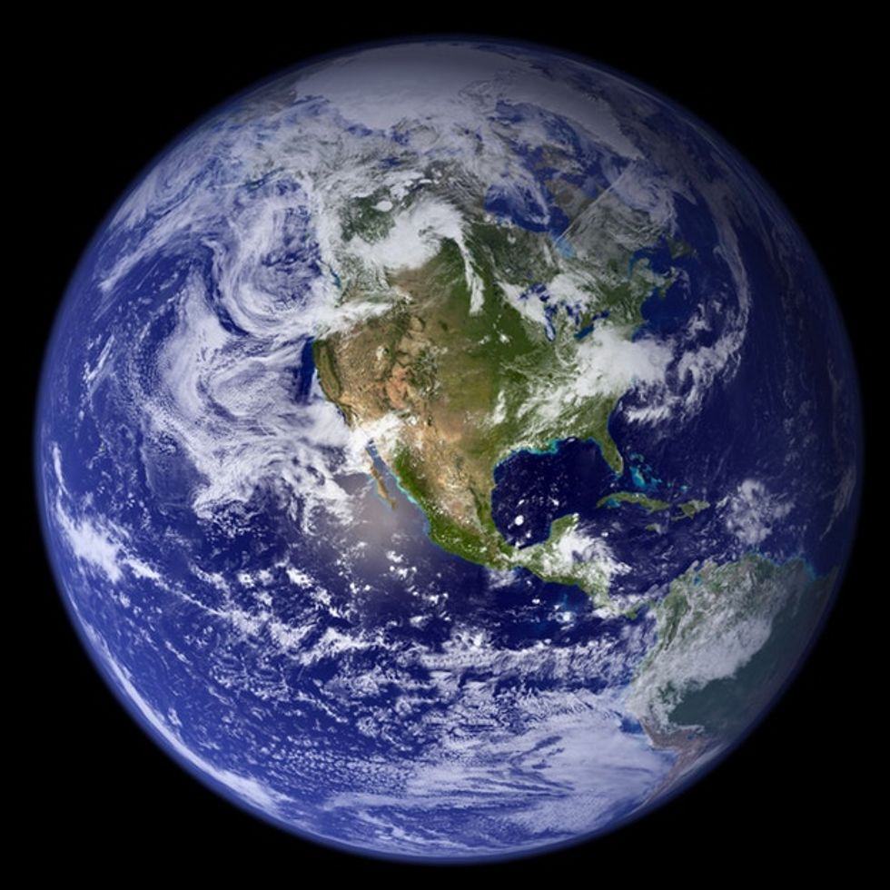 There Are 17,000 Of These Left On Earth. We Could Make Them Go Extinct If We Tried Hard Enough.
