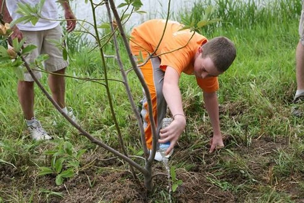 Planting 1.2 trillion trees could reverse a decade of climate change. Here’s how to do it.