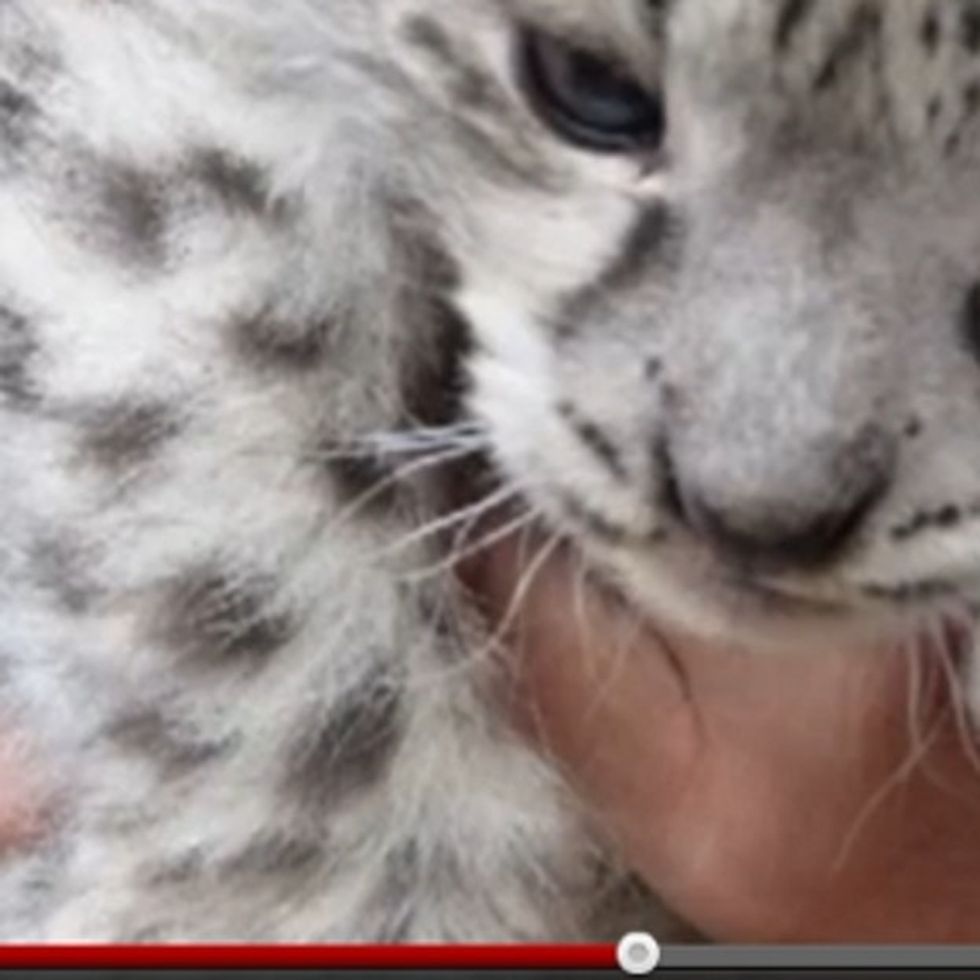 Share This Video To Remind Someone Why We Care About Preserving the Environment