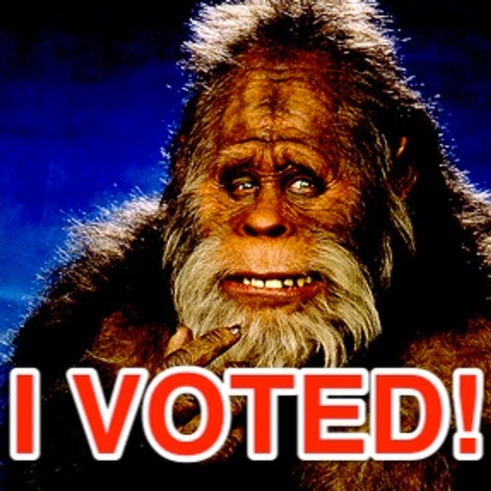 I Don't Care About Voter Fraud. And Neither Should You. Here's Why.
