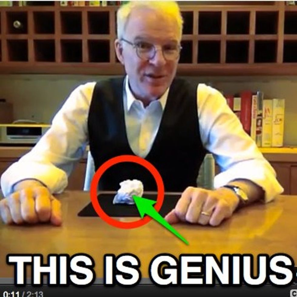 Are You Tired Of Political Ads? What If They Include Steve Martin And Say Nothing About Politics?
