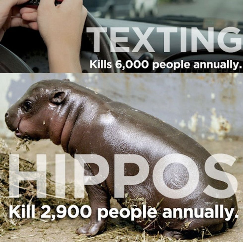 16 Things That Are Likely To Kill You And 1 That Is Not