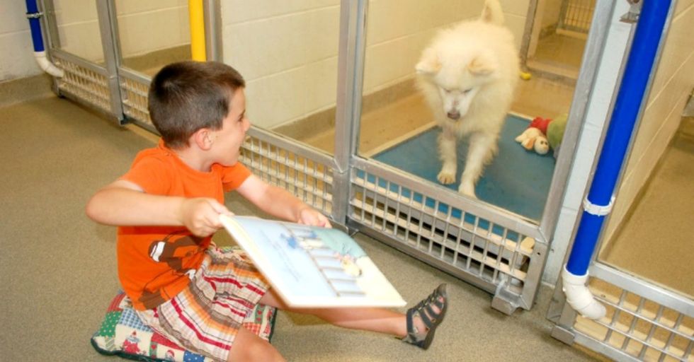 Beautiful things can happen when kids read to dogs.