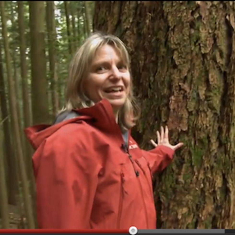 Stop Telling The Trees Your Personal Secrets. They TALK To Each Other.