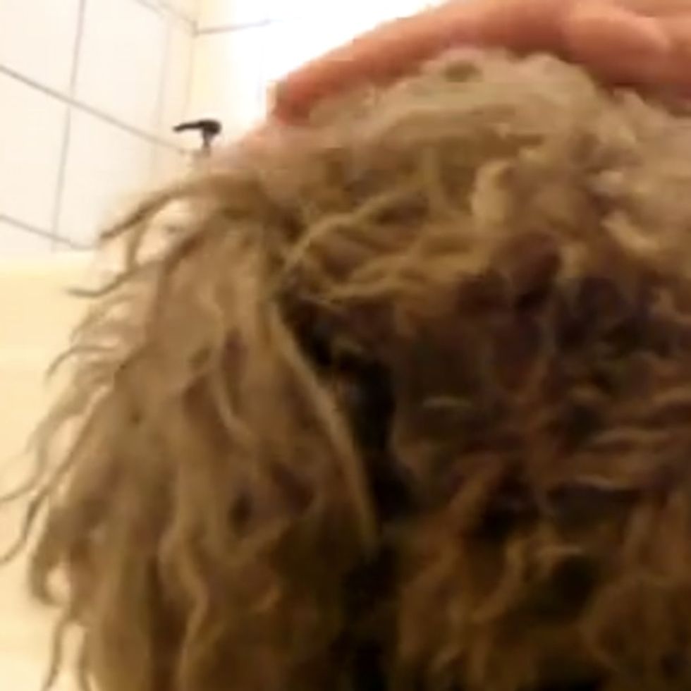 If You Love Animals, Then You Have To Watch This