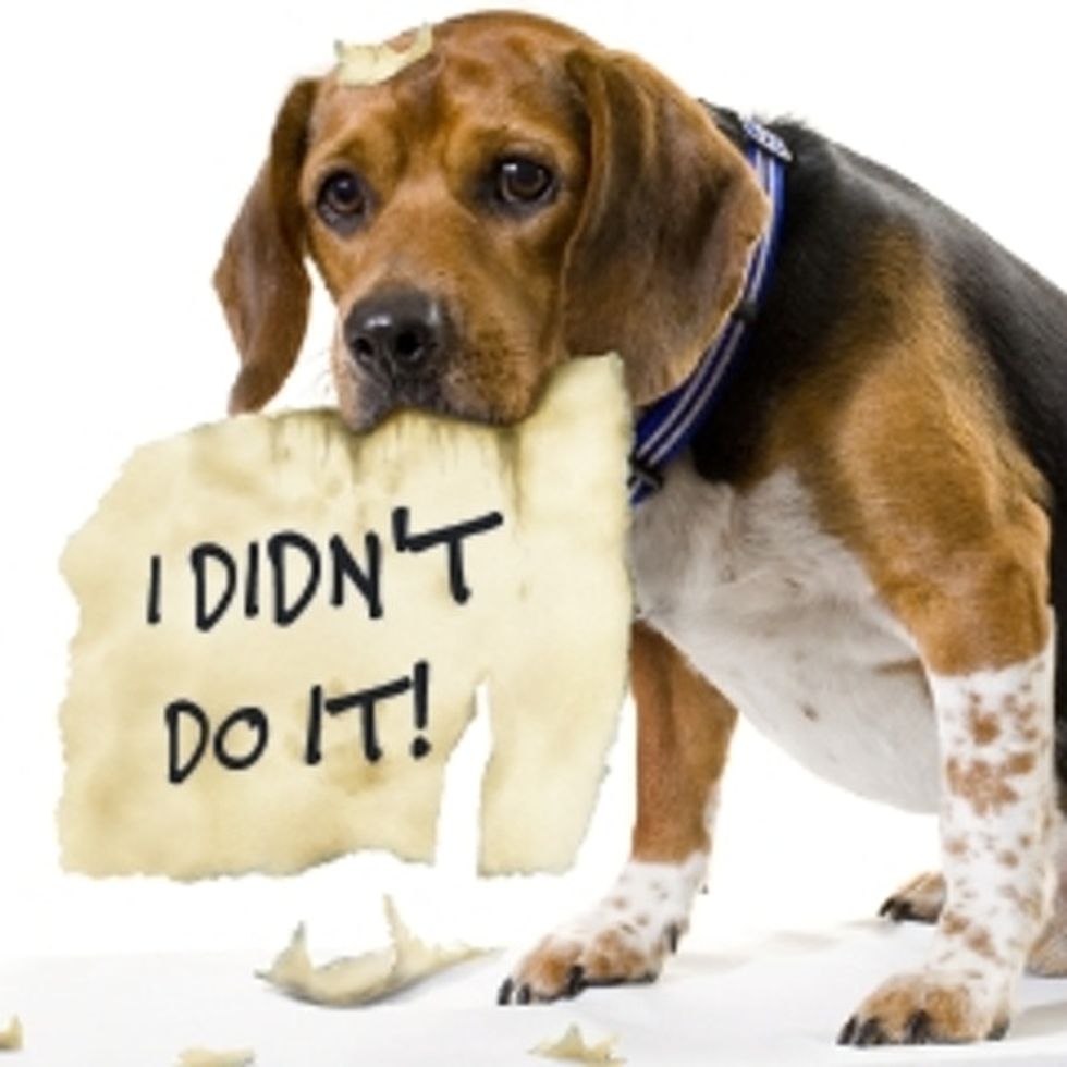 4 People Who Had Way Better Excuses Than You For Not Voting And Still Voted