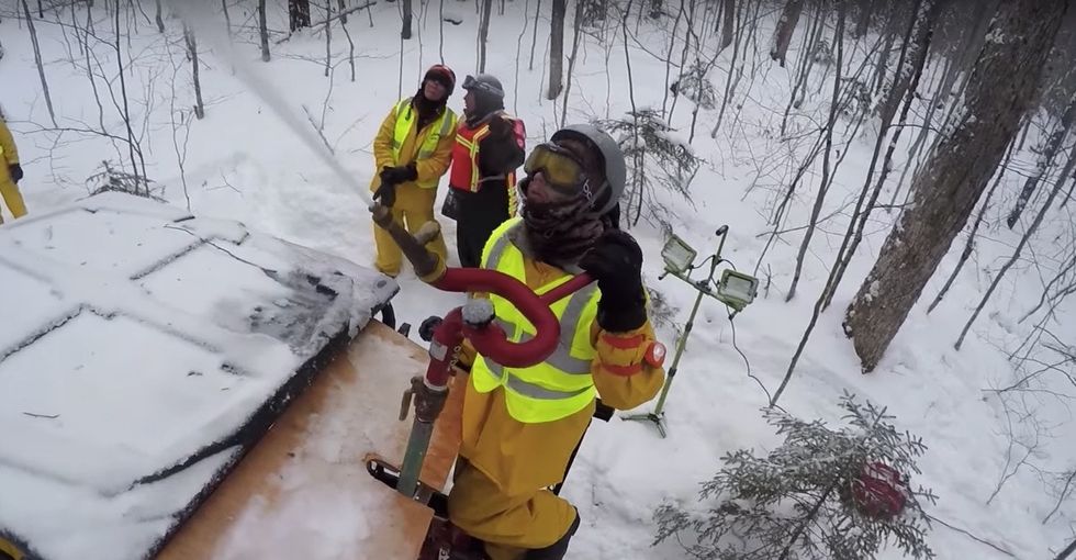 We're plunging this forest into a deep freeze to get a look into the future.