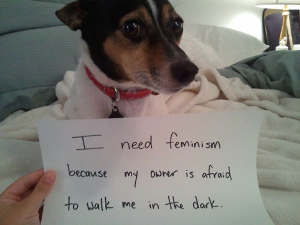 Why Men, Gays, Cute Dogs, And Saudis Need Feminism - Upworthy