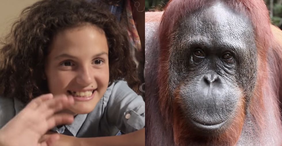 This GIF'd Conversation Between A Little Girl And An Ape Might Not End How You'd Expect