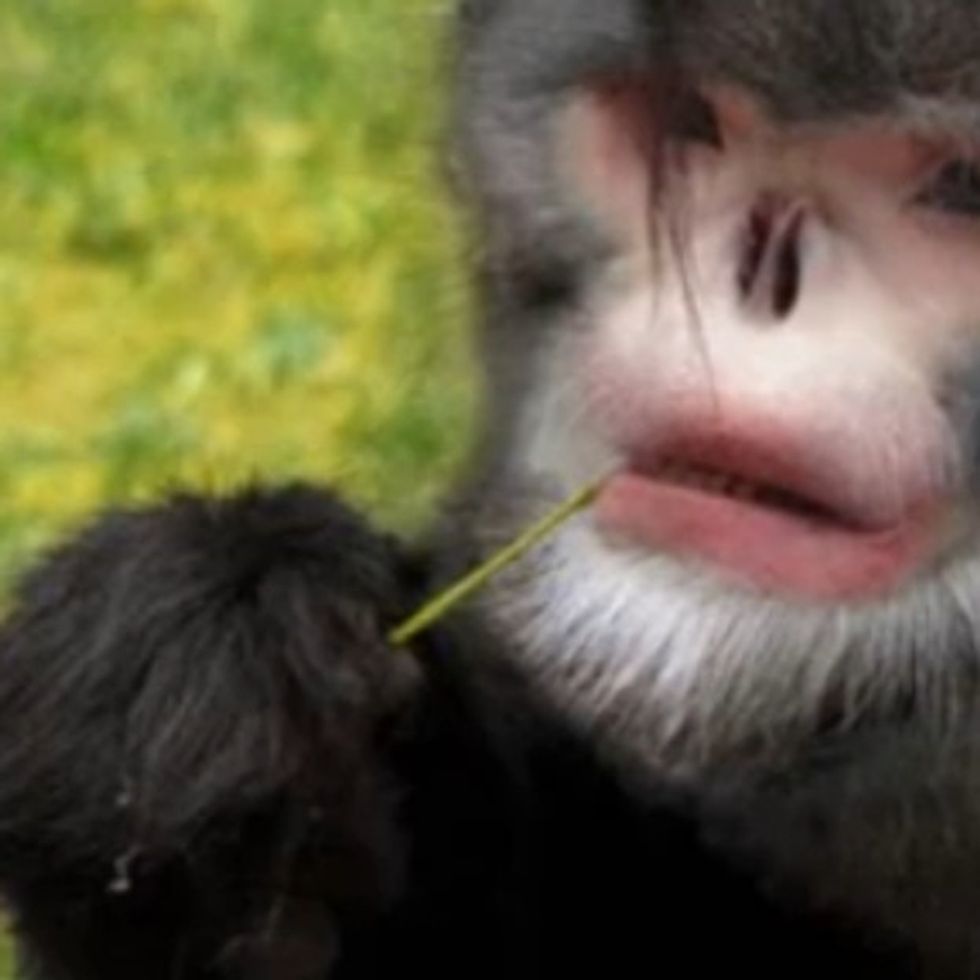 The Earth Is Beautiful, Mysterious, Fascinating, And Full Of Nightmare Fuel