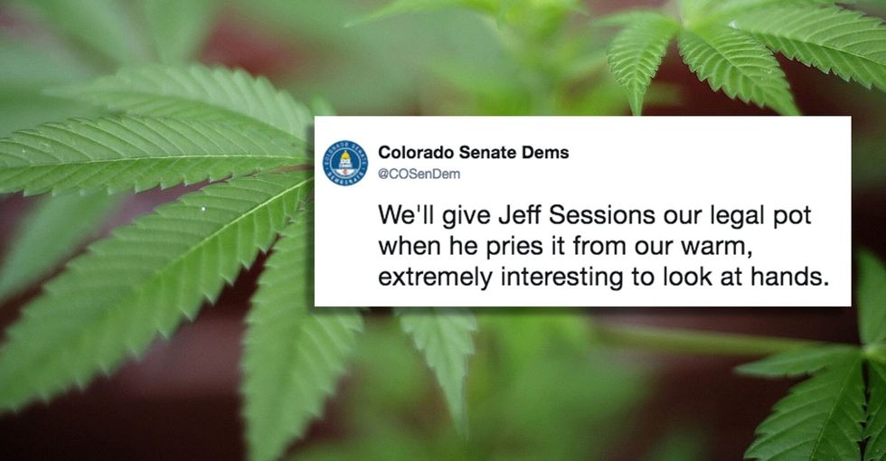 Colorado Senate Dems make a hilariously great case for legal pot.
