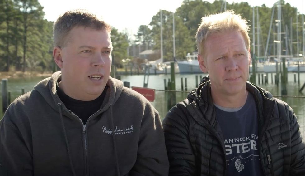 How 2 cousins saved their family's oyster company with underwater farming.