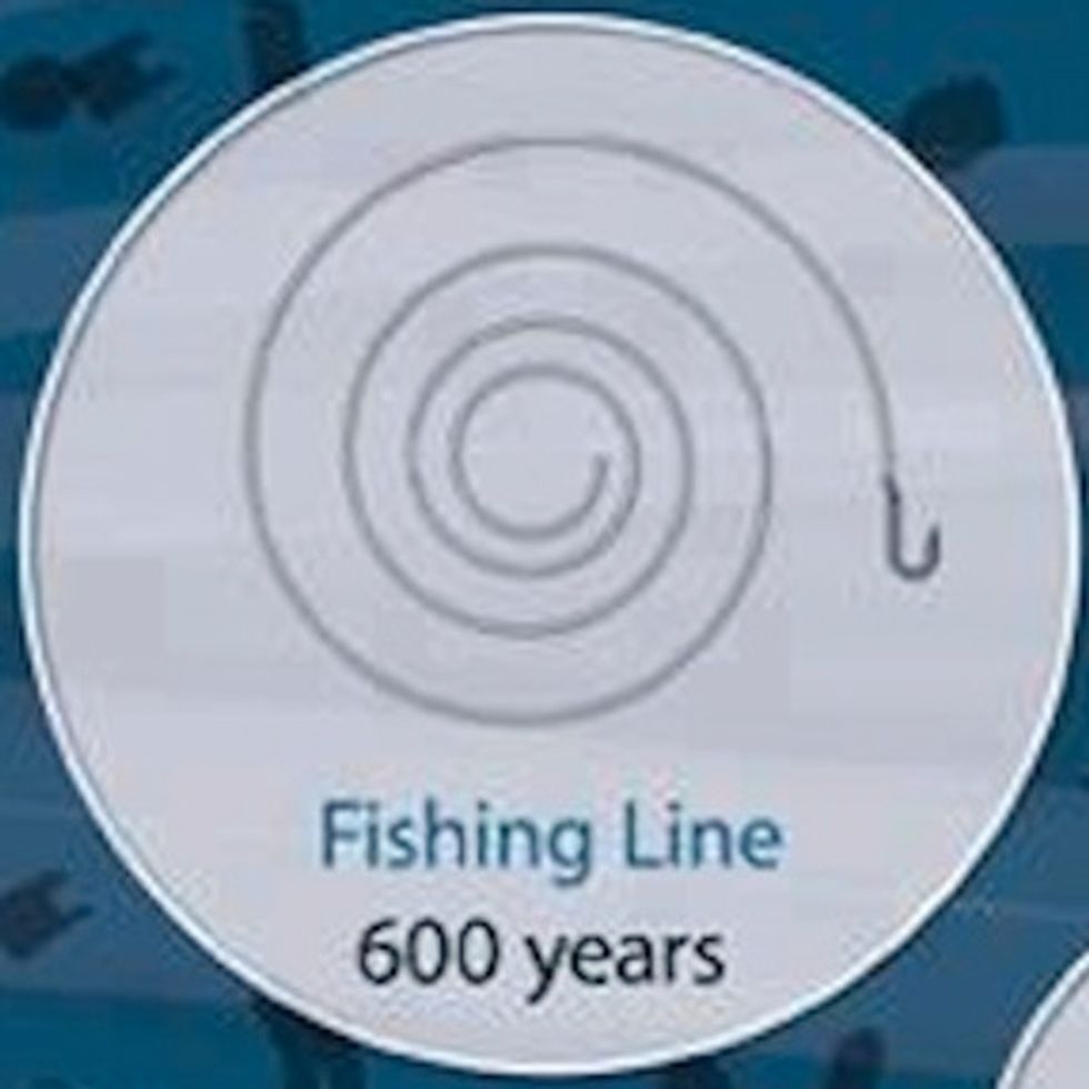 Just As I Was Getting Over 'Jaws,' This Chart Freaked Me Out About Going Back In The Ocean