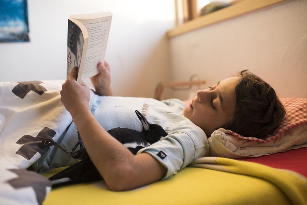 Stunning photos show how a magpie returned the favor to the family that saved her.