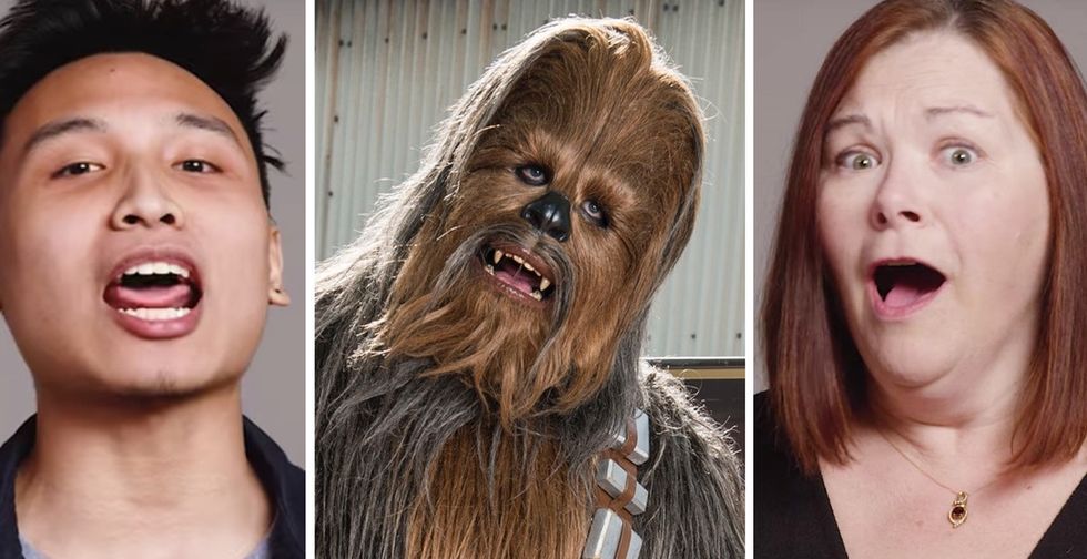 31 Days of Happiness Countdown: 100 hilariously bad Chewbacca impressions. (Day 24)