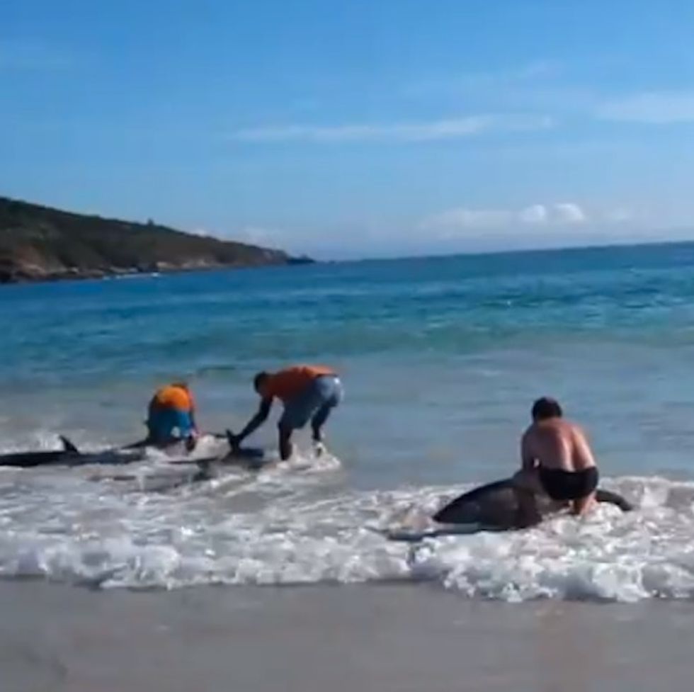 The Most Amazing Act Of Heroism Ever Committed In Swim Trunks