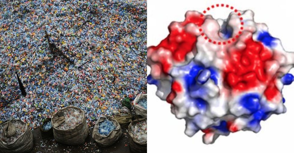 An accident resulted in a plastic-eating mutant that just might save us all.