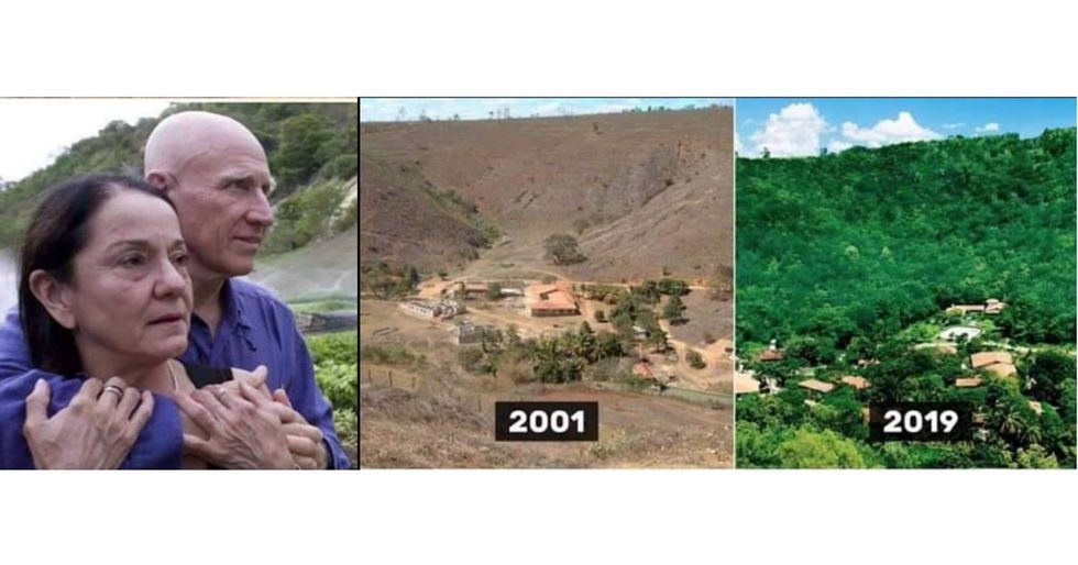 Brazilian couple planted 4 million trees within 18 years to form a large forest.