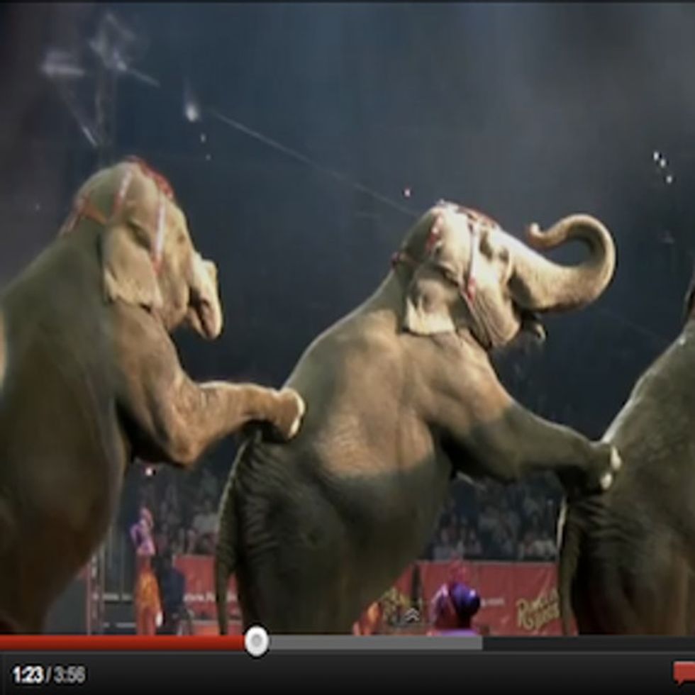 Alec Baldwin Is Right About Circuses. Don't Go To Them.