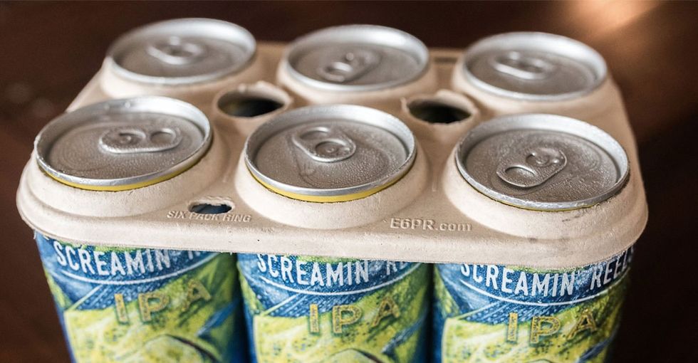 This beer's packaging isn't hurting turtles, it's feeding them.