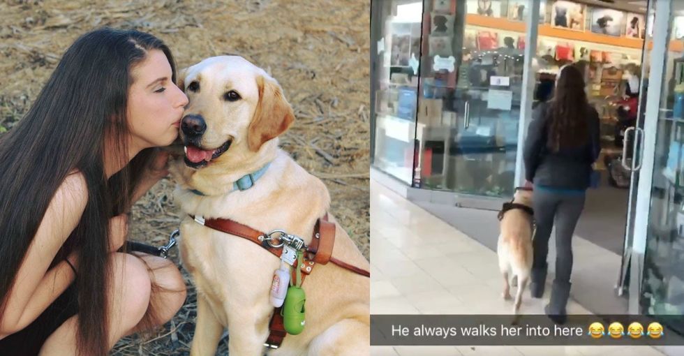 This sneaky guide dog is too pure for this world. A hilarious video proves it.